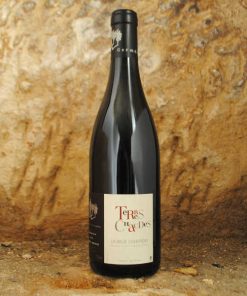 Saumur-Champigny – Terres Chaudes 2020 – Thierry Germain